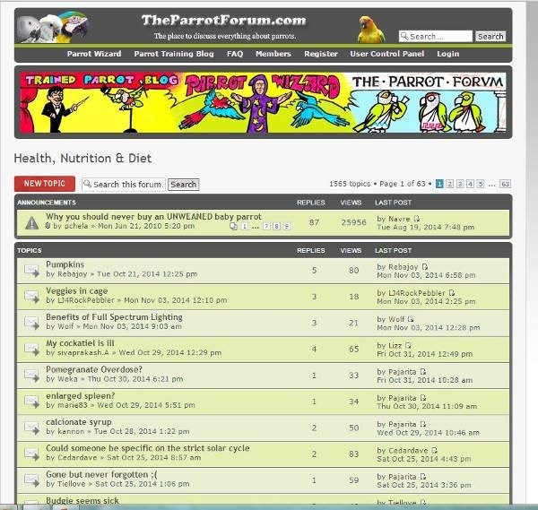 Parrot Forum - Example 1 - Find Target Audience Hangout Parrot Forum - Example 1 - Find Target Audience Hangout
