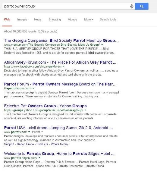 Parrot Search Results - Example 2 - Find Search Terms
